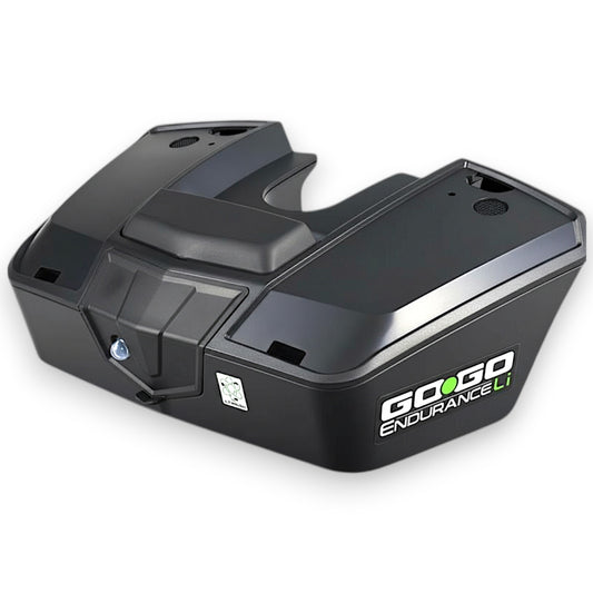 shows the front of the battery pack with a slight angle to the right