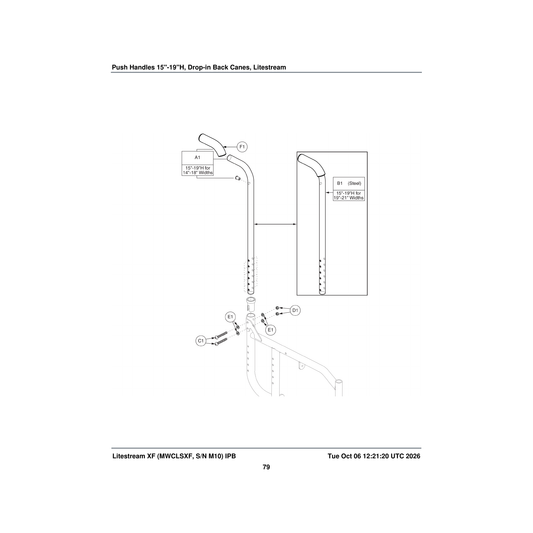 Pride Mobility FRMASMB10869 steel back cane assembly 15 inch h-19 inch h with push parts diagram
